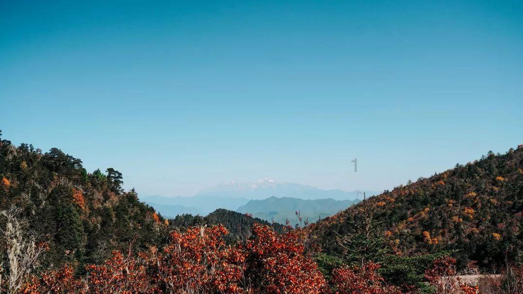 小蓝球向上跳