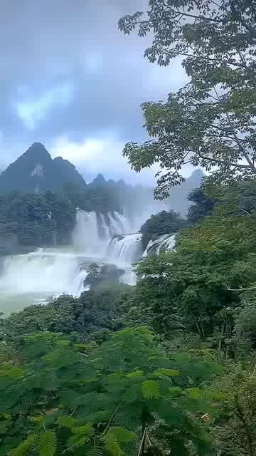 隐藏的金色星星
